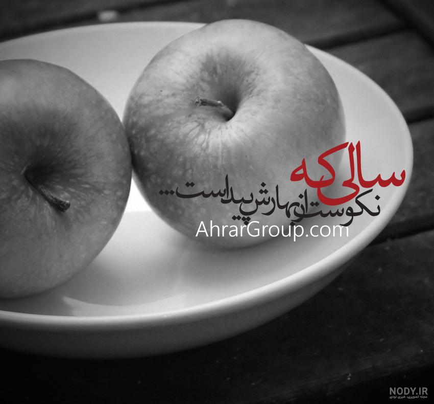 اب رفته به جوی باز نمیگردد به انگلیسی