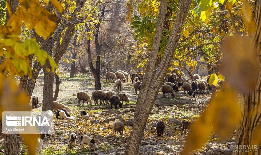 اطراف کرج کجا بریم
