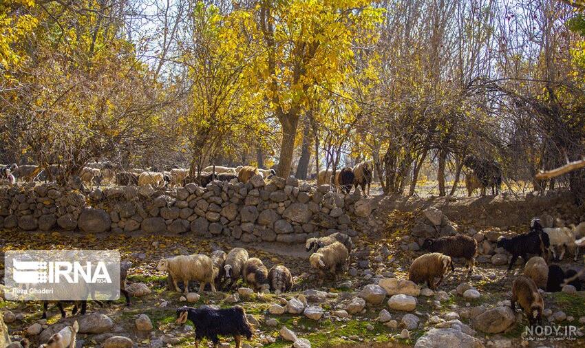 خانه های متروکه در تهران برای عکاسی