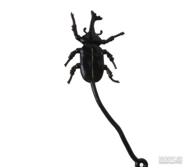 خرید سوسک زنده خرید سوسک زنده