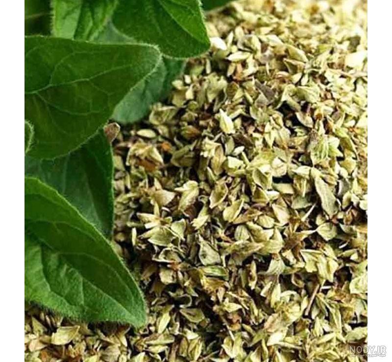 خواص دمنوش مرزنجوش
