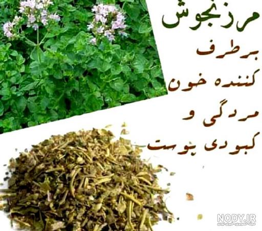 خواص مرزنجوش برای رحم