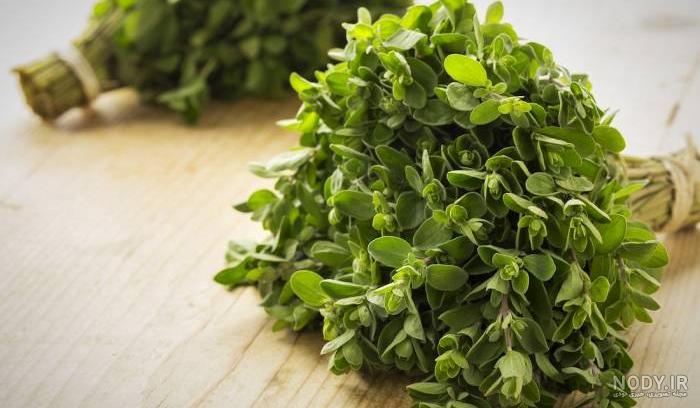 خواص مرزنجوش برای مغز