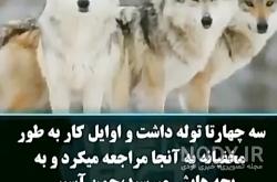 ذات انسان چیست و چه مفهومی دارد