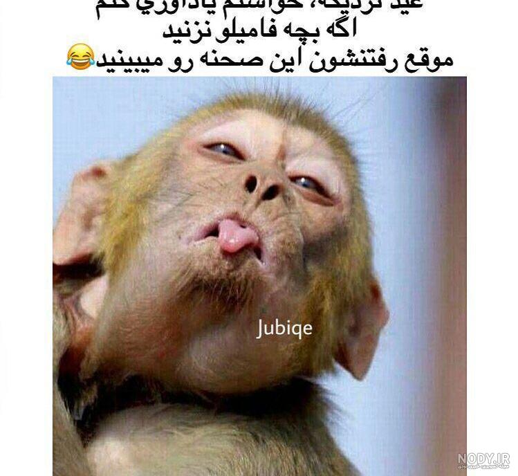 صداپیشه بچه فامیل دور صداپیشه بچه فامیل دور