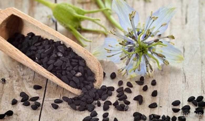 طریقه مصرف سیاه دانه برای عفونت ادراری طریقه مصرف سیاه دانه برای عفونت ادراری