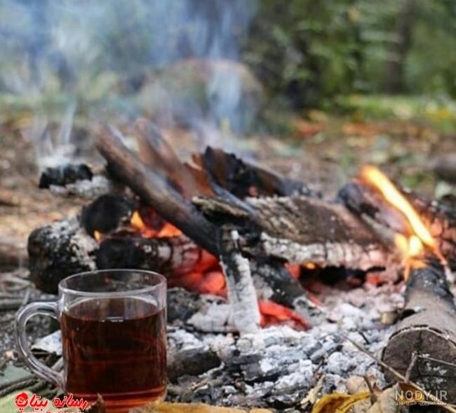 عکس از چای در طبیعت عکس از چای در طبیعت