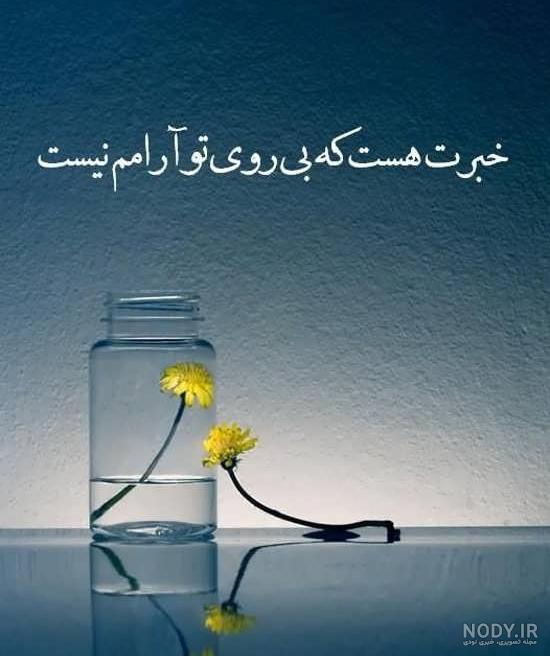 عکس با تصاویر جالب