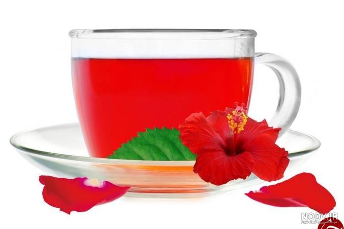 عکس بوته چای ترش