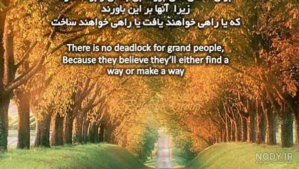 عکس جنگل ابر عکس جنگل ابر