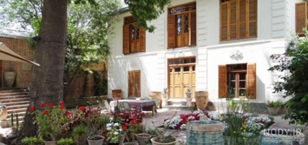 عکس درخت زیبا