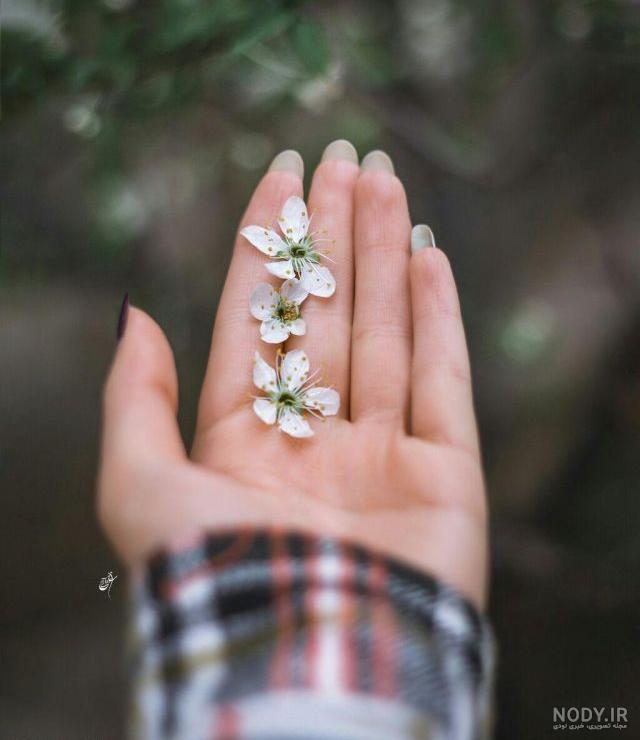 عکس دست دونفره طبیعی تو ماشین