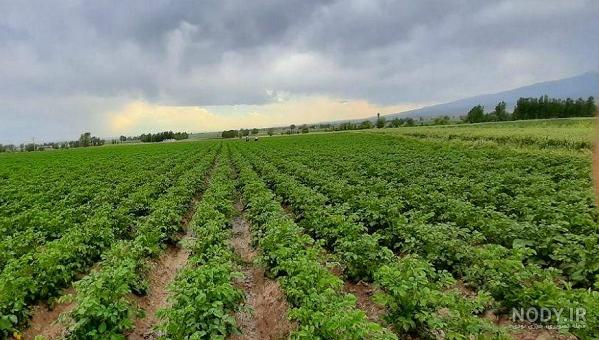 عکس روستای طالب قشلاقی اردبیل عکس روستای طالب قشلاقی اردبیل