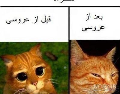 عکس ضد دختر جدید عکس ضد دختر جدید