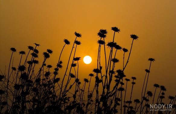 عکس ضد نور ساده عکس ضد نور ساده