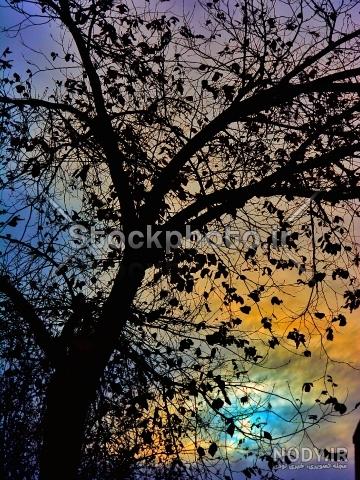 عکس ضد نور عاشقانه عکس ضد نور عاشقانه
