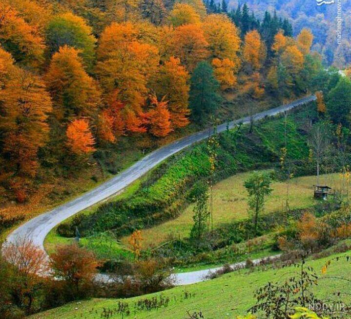 عکس طبیعت زیبای مازندران