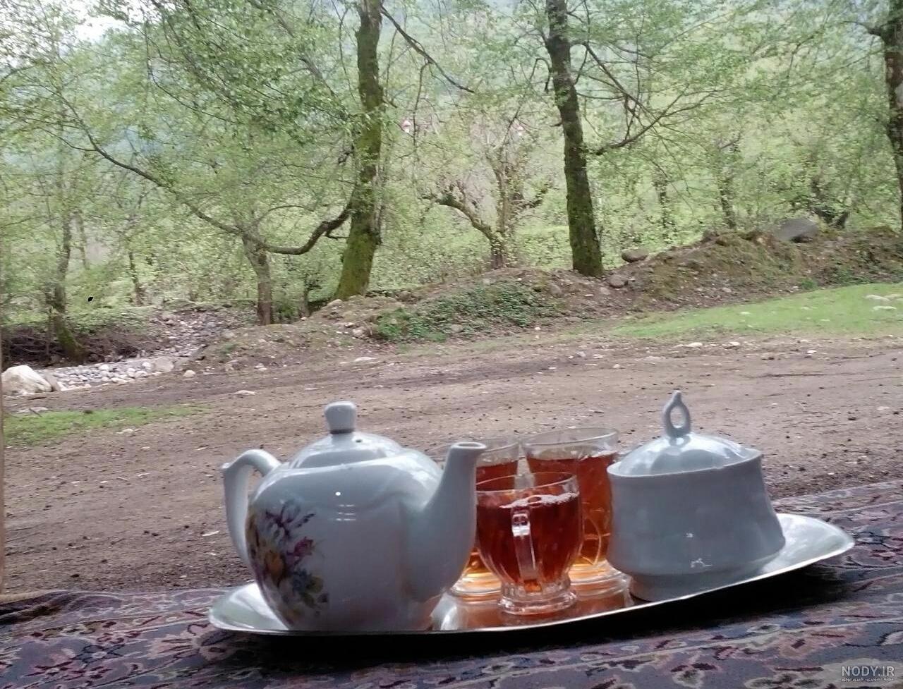 عکس لیوان چایی در طبیعت عکس لیوان چایی در طبیعت