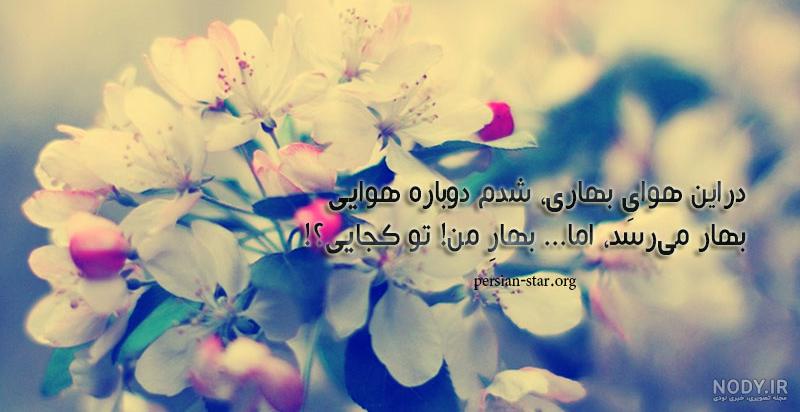 عکس منظره جنگل عکس منظره جنگل