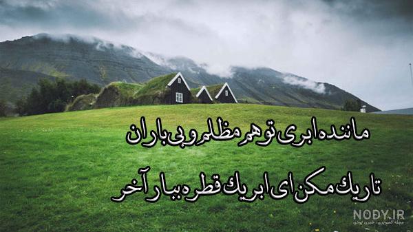 عکس منظره جنگل عکس منظره جنگل