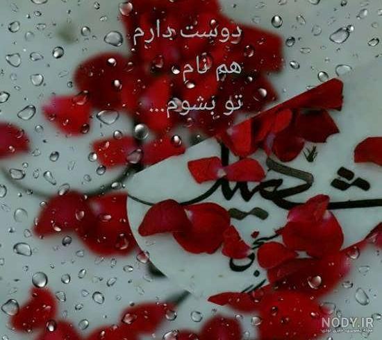 عکس نوشته شهدا شرمنده ایم