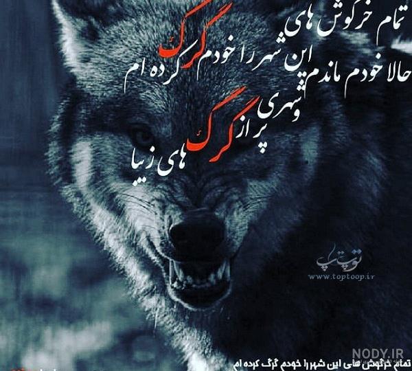 عکس پروفایل گرگ عکس پروفایل گرگ