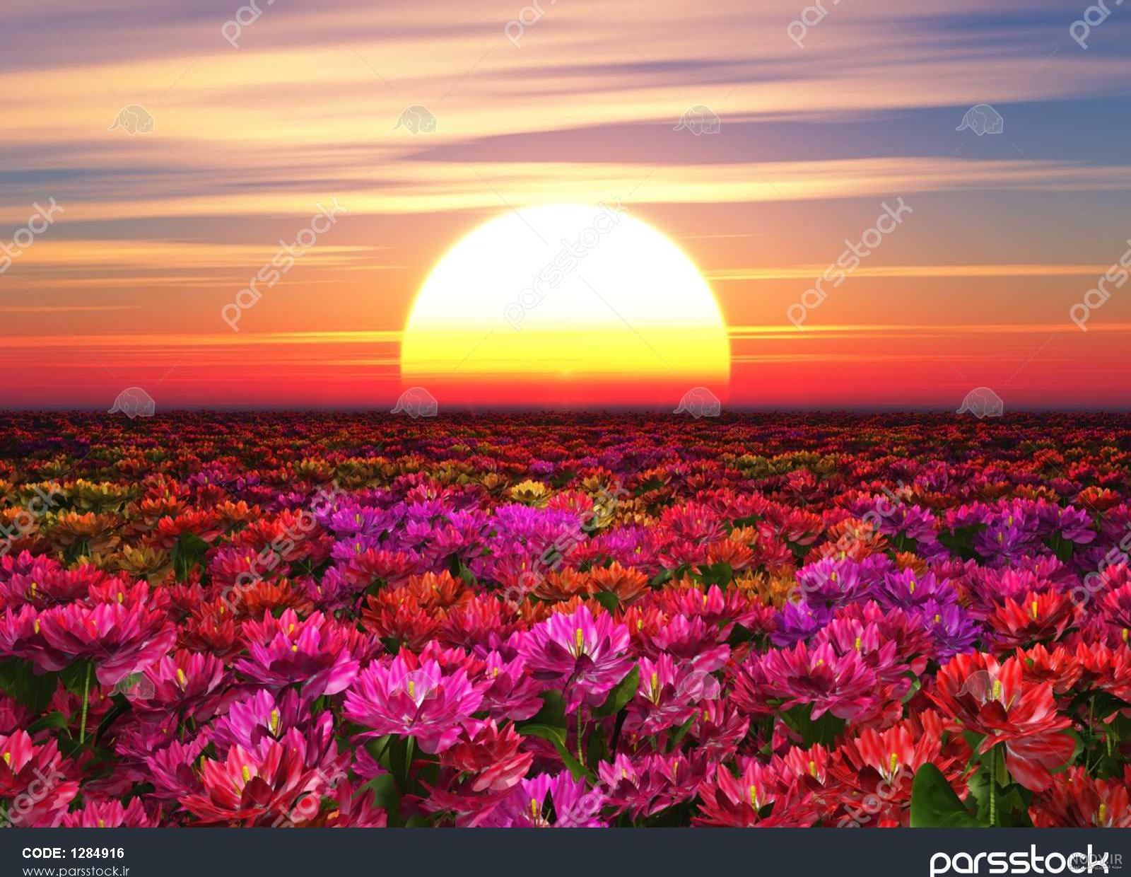 عکس پس زمینه غروب عکس پس زمینه غروب