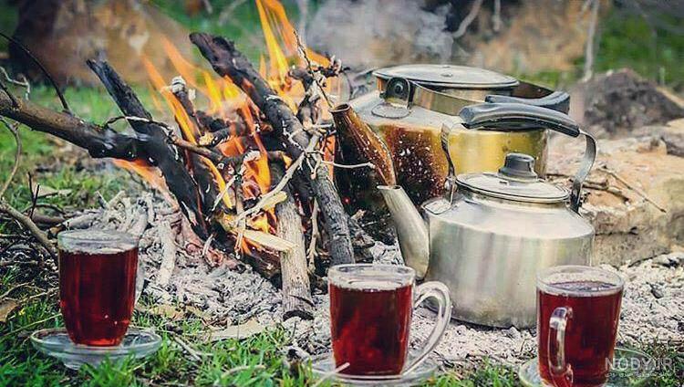 عکس چایی نبات عکس چایی نبات