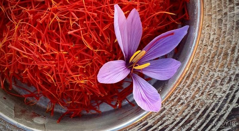 عکس گل زعفران سفید عکس گل زعفران سفید