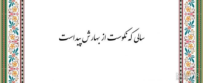 معنی ماستی که ترشه از تغارش پیداست