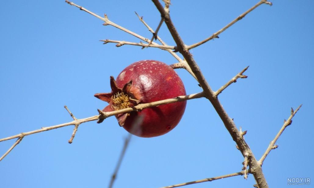 مکان مناسب برای عکاسی مدلینگ در تهران