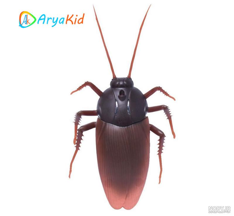 چگونه سوسک پلاستیکی درست کنیم چگونه سوسک پلاستیکی درست کنیم