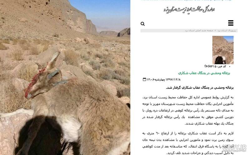 کوه عقاب شیراز