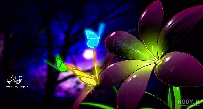  عکس شمع و پروانه غمگین