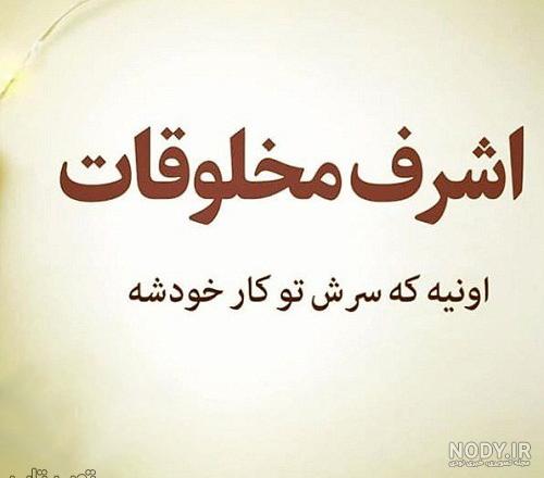 استیکر فضولی ممنوع