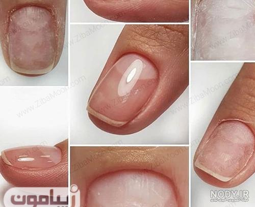 انواع لمینت ناخن انواع لمینت ناخن