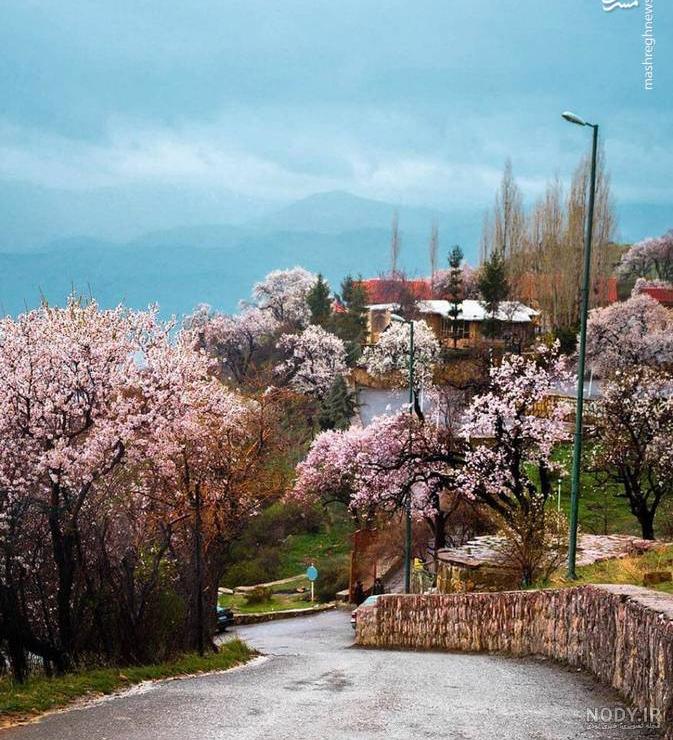 بالا شهر سنندج بالا شهر سنندج