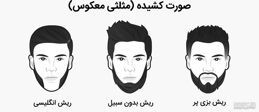 ترکیبات روغن ریش ترکیبات روغن ریش