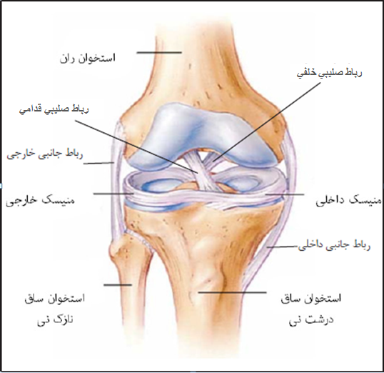 تشخیص پارگی رباط از روی ام ار ای تشخیص پارگی رباط از روی ام ار ای