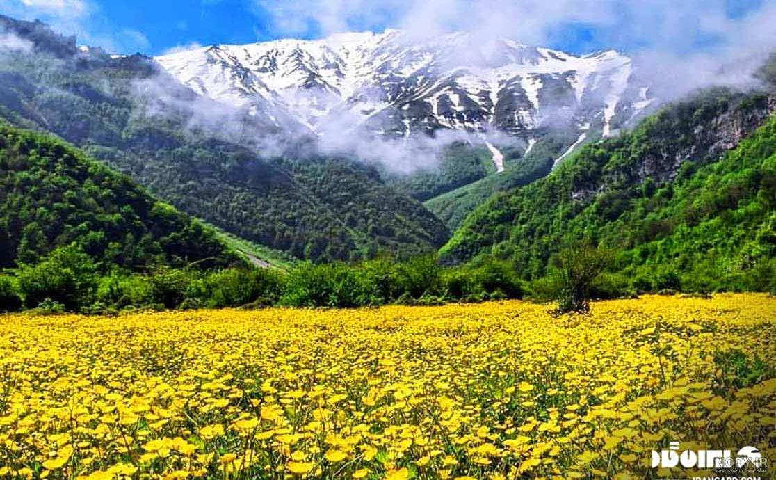 جاهای دیدنی رامسر و نمک ابرود جاهای دیدنی رامسر و نمک ابرود