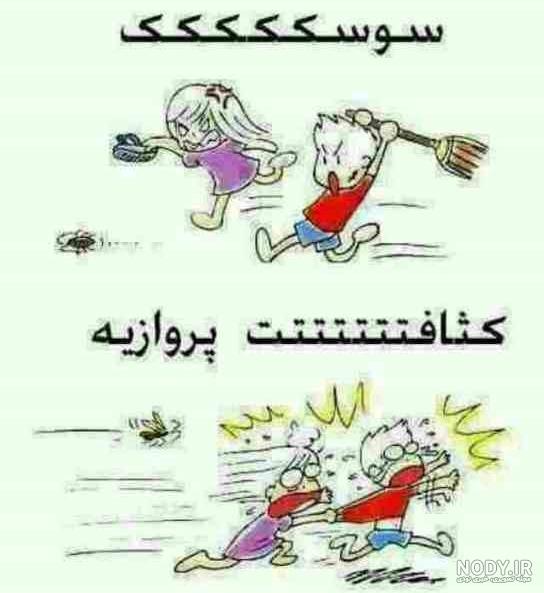جوک در مورد شیر جوک در مورد شیر