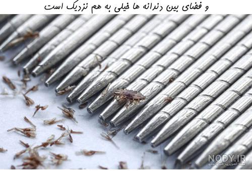دستگاه شپش گیر با قیمت دستگاه شپش گیر با قیمت