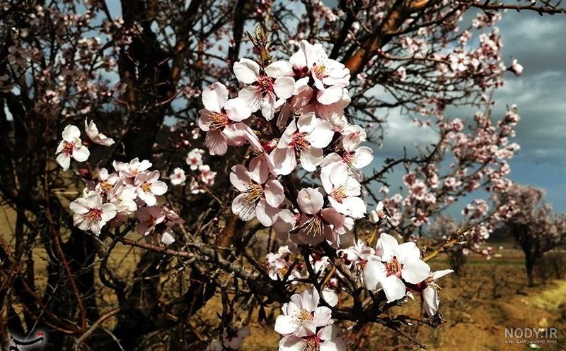 زندان ارتش کهریزک زندان ارتش کهریزک