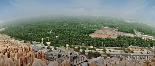 زندگی در عربستان