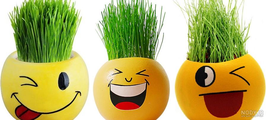 سبزه خرفه برای عید سبزه خرفه برای عید