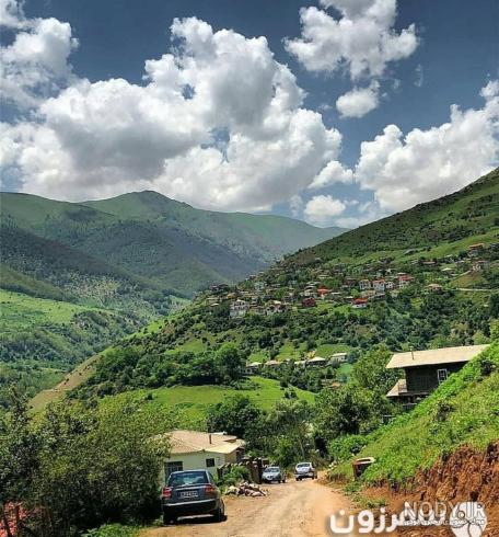 شامپو سینوا