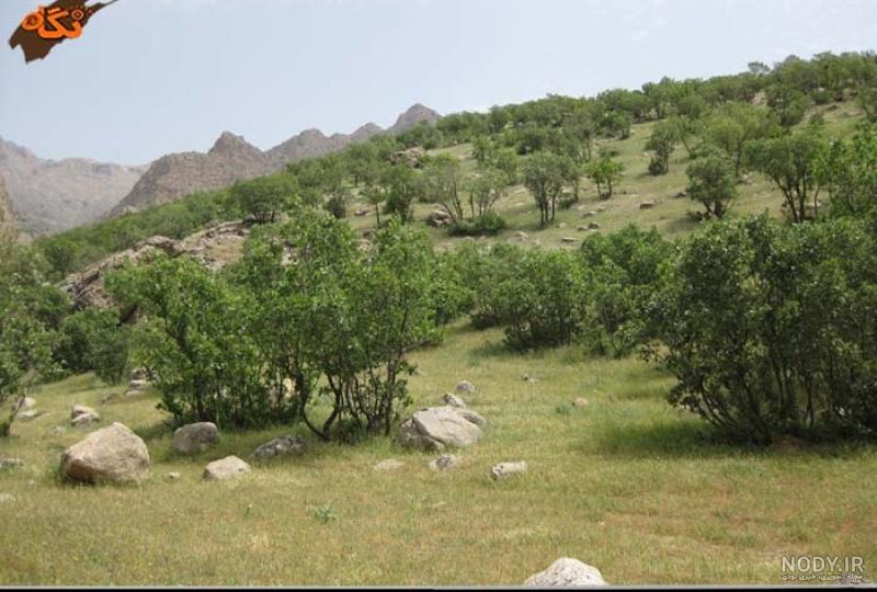 طبیعت کرمانشاه طبیعت کرمانشاه