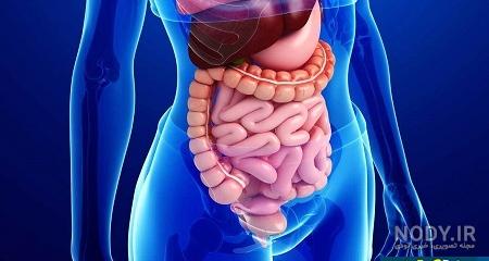علت سوزش داخل شکم نی نی سایت علت سوزش داخل شکم نی نی سایت