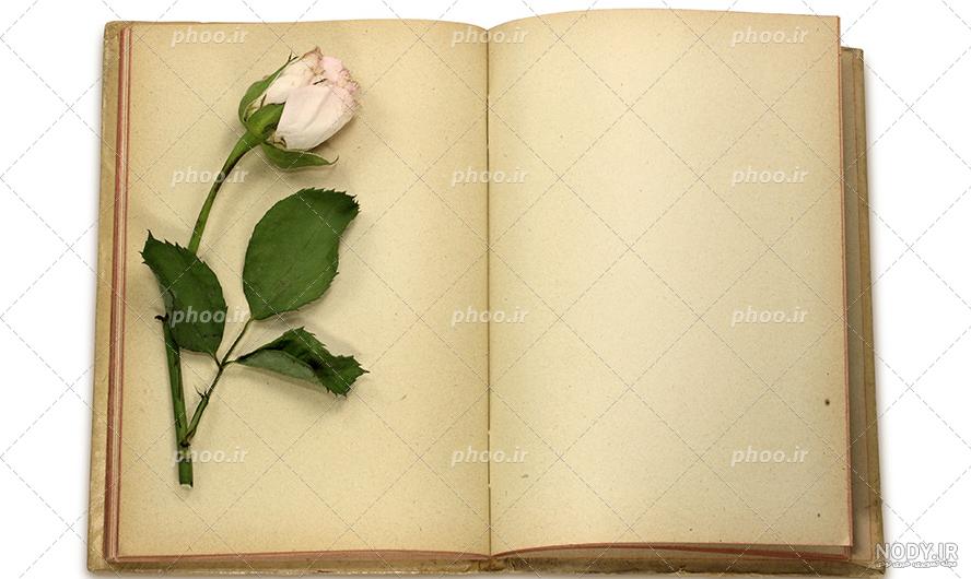 عکس تصویر سازی کتاب عکس تصویر سازی کتاب