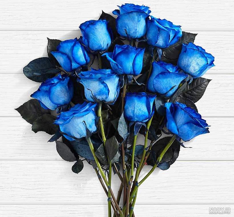 عکس دسته گل رز آبی